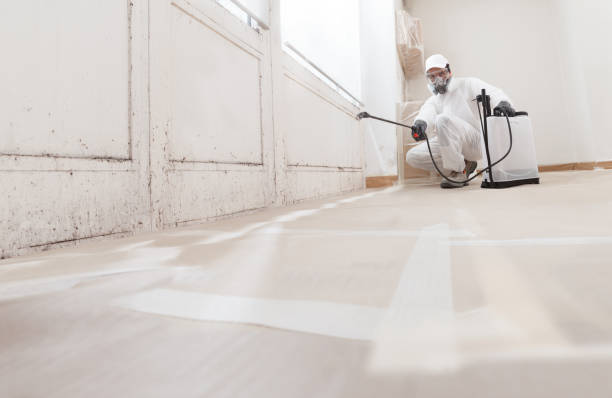 24/7 Emergency Mold Testing experts in Exmore, VA
